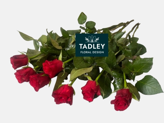 Single Farewell Red Roses & Graveside Condolence Stems